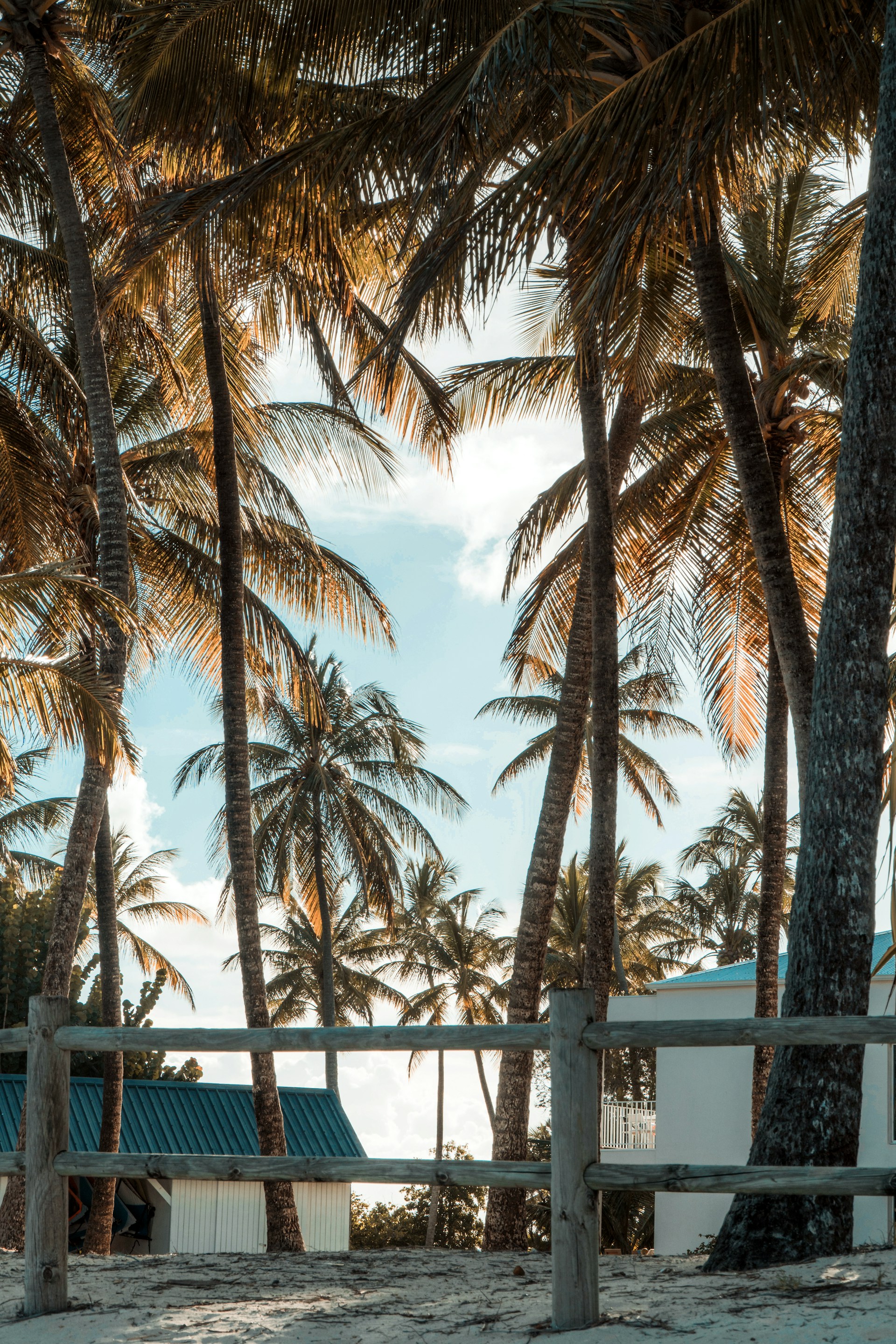Restaurant créole en Guadeloupe